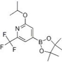 1256359-31-5/2-异丙氧基-6-三氟甲基吡啶-4-硼酸频那醇酯