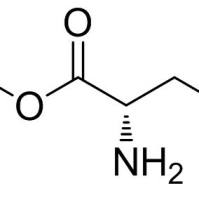 13030-09-6/	 L-谷氨酸-alpha-苄酯 ,	BR,98%