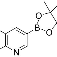 1010101-07-1/6-氯-5-甲吡啶-3-硼酸频哪醇酯