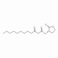 168982-69-2/	 N-(3-Oxododecanoyl)-L-homoserine lactone,≥97%