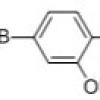 915201-06-8/	 4-CHLORO-3-HYDROXYPHENYLBORONIC ACID,	97%