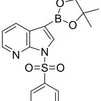 886547-94-0/	 1-苯磺酰基咯并吡啶-3-硼酸酯,	97%