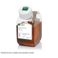 Gibco澳洲胎牛血清10099141 FBS