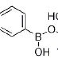 627525-96-6/	 2-(4-CHLORO-3-METHOXYPHENYL)-4,4,5,5-TETRAMETHYL-1,3,2-DIOXABOROLANE ,	98%
