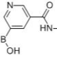913835-99-1/5-(叔丁基氨基甲酰基)吡啶-3-硼酸