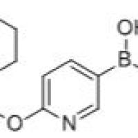 934505-32-5/6-[(4-吗啉基)甲基]吡啶-3-硼酸