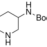 172603-05-3/	 3-(Boc-氨基)哌,	97%