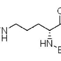16937-92-1.	 Boc-D-Orn(Z)-OH ,	98%