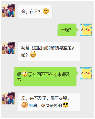 基因鼠的繁殖和鉴定那些事儿