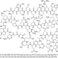 12279-41-3/	 丝拉克肽 ,	≥95% (HPLC)
