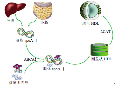新闻图片3