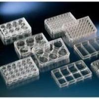Nunc 24孔细胞培养板 142475
