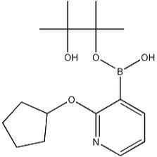 1073371-90-0.2-(环戊氧基)-吡啶-3--硼酸频哪醇酯