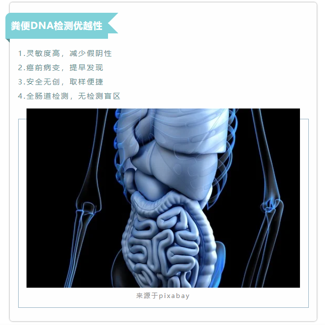说说粪便 DNA 提取在结直肠癌研究中的应用