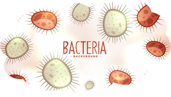 你要的细菌诊断抗体（IVD原料），都在这里！