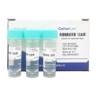 BY002P 免分装快速细胞冻存液（无血清）