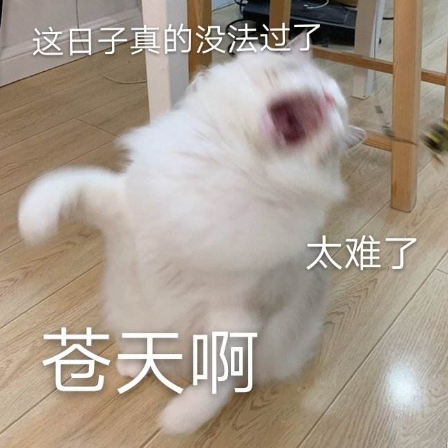 新闻图片2