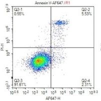 Annexin V-Alexa Fluor 647细胞凋亡检测试剂盒