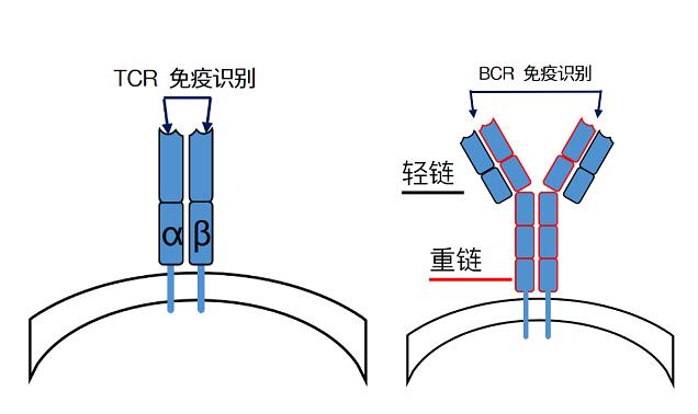 新闻图片2