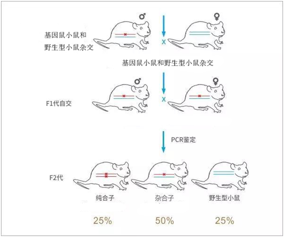 新闻图片4