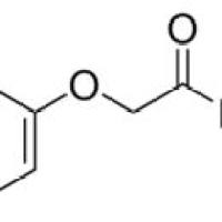 1737-62-8/4-苯氧基乙酰肼