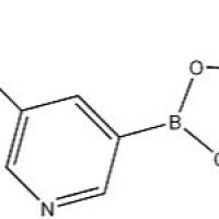 1169402-51-0/5-氨基甲酰吡啶-3-硼酸频哪酯