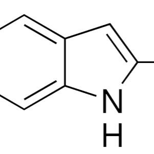 1075-35-0/ 5-氯-2-甲基吲哚 ,98%