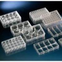 Nunc F96MicroWellTM微孔板，聚苯乙烯，外部尺寸128*86mm，表面，细胞