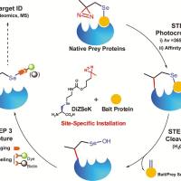 探针合成实验服务