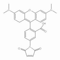 174568-67-3/	 5-TAMRA, maleimide [Tetramethylrhodamine-5-maleimide],	≥85% (HPLC),用于荧光分析