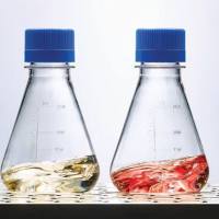 NunclonTM△三层细胞培养瓶，4个/包，32个/箱(原132920改为1个/包)，瓶盖-过滤，