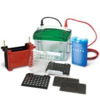 伯乐BIO-RAD小型Trans-Blot转印槽1703930