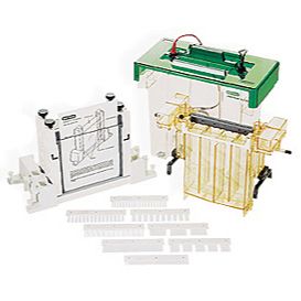 BIO-RAD伯乐PROTEAN II xi 和XL 大型多板垂直电泳槽