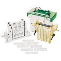 Bio-rad伯乐PROTEAN II xi 和XL大型垂直电泳槽