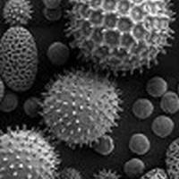 透射电镜服务实验服务