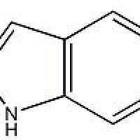 1388032-50-5/ 2-碘-5-氯吲哚 源叶 ≥95%