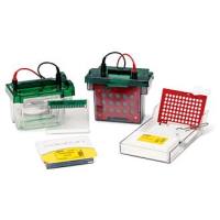 Bio-rad伯乐Criterion中型手灌胶/预制胶垂直电泳槽