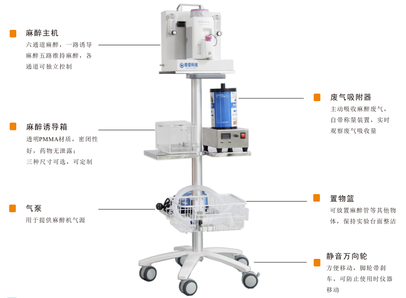 无创小动物吸入式麻醉机多通道维持麻醉AM-1005