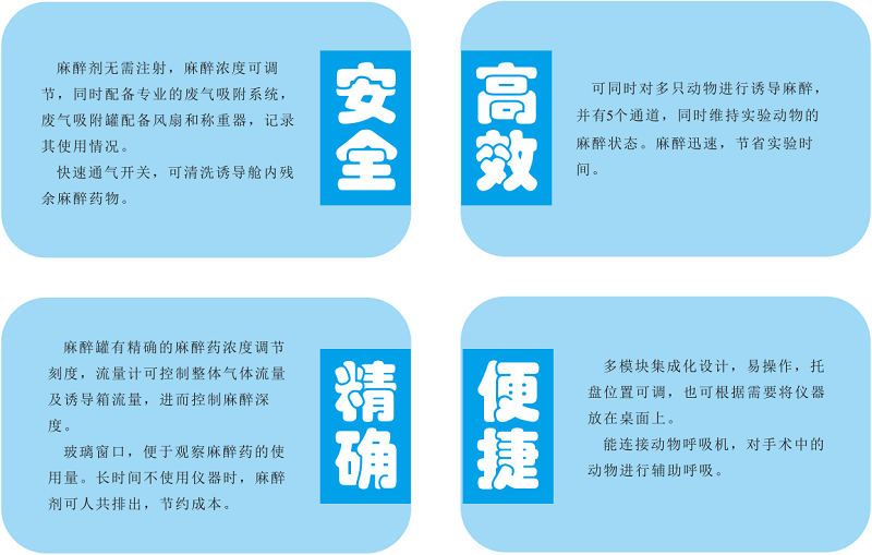 无创小动物吸入式麻醉机多通道维持麻醉AM-1005