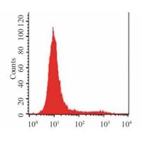 钙离子浓度检测实验