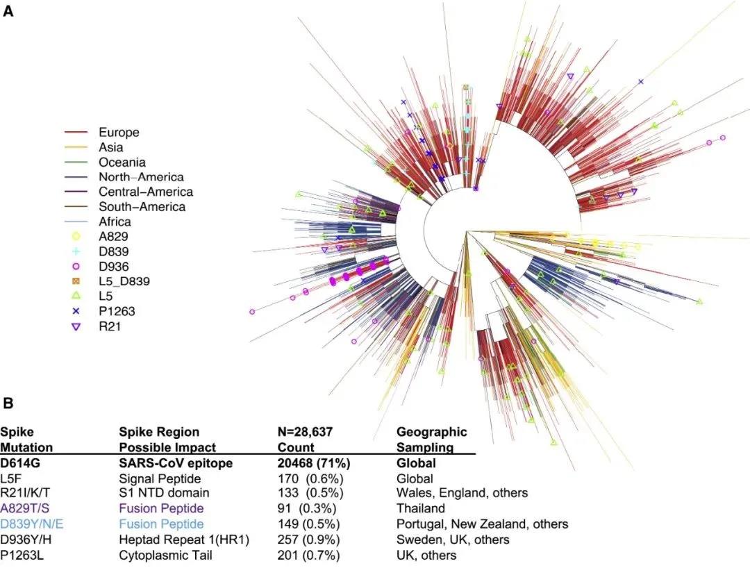 新冠病毒正在发生变异,疫苗是否仍然有效?