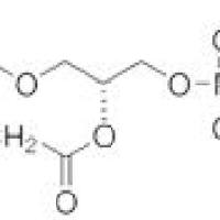 18194-24-6/二肉豆蔻酰磷脂酰胆碱（DMPC） ,	≥99%