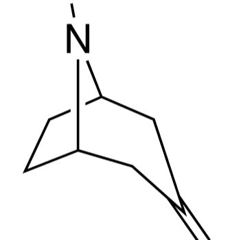 185099-67-6/N-叔丁氧羰基-去甲托品,	98%