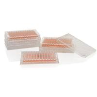 Nunc F96MicroWellTM微孔板，聚苯乙烯，外部尺寸128*86mm，表面，细胞