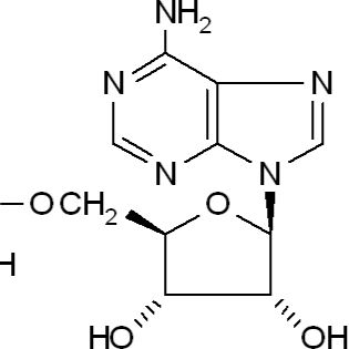61-19-8/ 5-腺苷一磷酸 ,分析标准品,HPLC≥98%