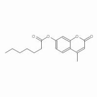 18319-92-1/ 4-Methylumbelliferyl heptanoate , ≥98%