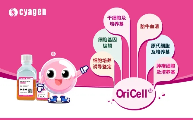 赛业生物诚邀您相约第5届广州国际生物技术大会暨博览会