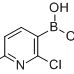 536693-95-5/2-氯-6-甲基吡啶-3-硼酸