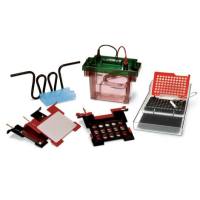 BIO-RAD伯乐Criterion 中型湿式转印槽