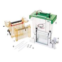 PROTEAN II xi 2-D 双向电泳槽